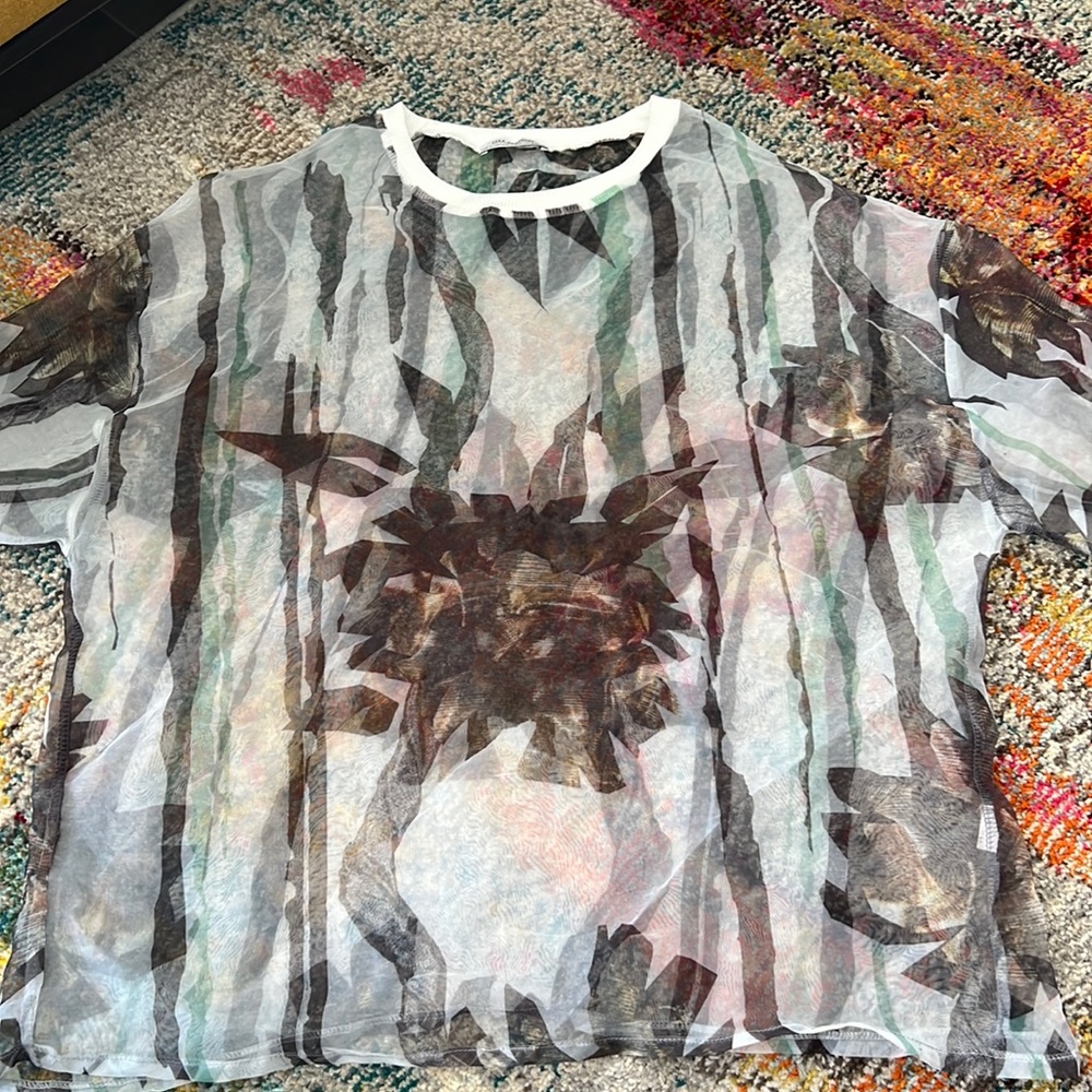 Zara Trafaluc Mesh Top